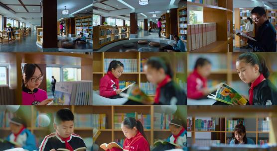 图书馆 看书 阅读 专注 学校 学生 安静