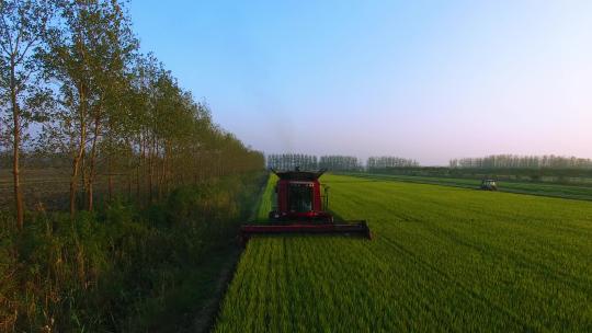 航拍大型收割机收割水稻