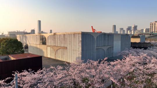 上海龙美术馆樱花盛开上海徐汇滨江樱花航拍