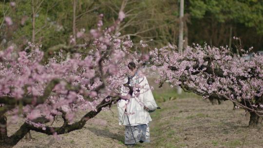 桃花春天古镇古装汉服