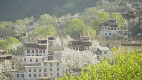 梨花盛开的四川甘孜州丹巴县中路藏寨