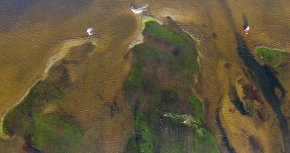 巴西凯尤普泻湖风筝冲浪的鸟瞰图。