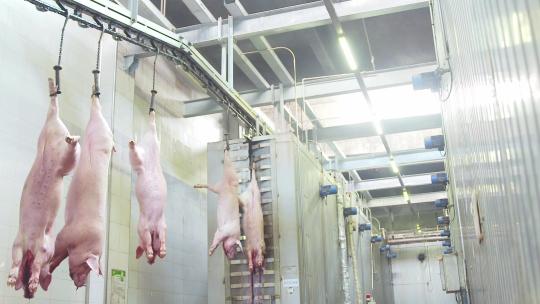 加工流水线生产线养殖猪肉生鲜