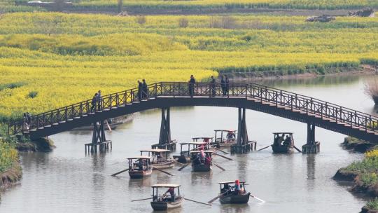 江苏兴化市千垛油菜花景区河道里的手摇船