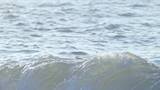 海面波光粼粼的浪涌浪花高清在线视频素材下载