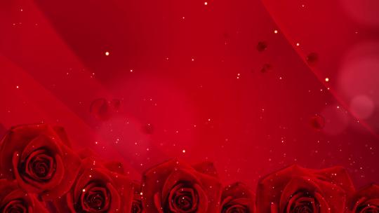 红色绚丽玫瑰花舞台粒子背景视频