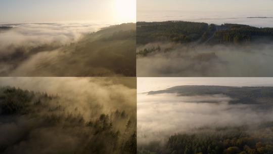 大兴安岭雾气森林云雾云海迷雾晨雾绿色森林
