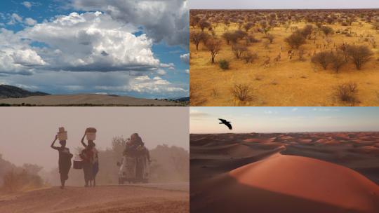 【合集】 沙漠景观 干旱 撒哈拉沙漠 非洲视频素材模板下载