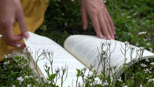 4K草丛中翻书阅读实拍视频