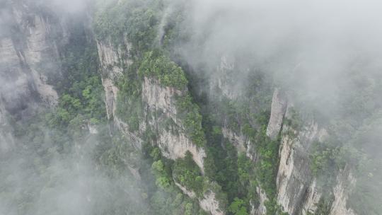 航拍张家界峰林地貌-山川云雾云海-大好河山