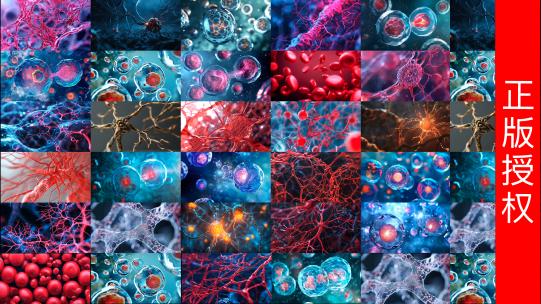生物医学「细胞 神经 血管」【4K原创】高清在线视频素材下载