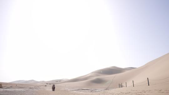 4k拍摄敦煌鸣沙山骆驼视频素材模板下载