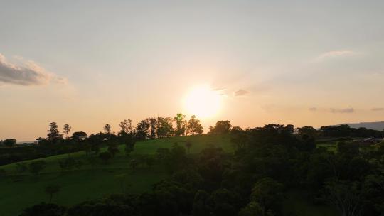 夕阳下的树木风景