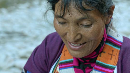 藏族妇女揪捡羊毛纺线劳作手工干活