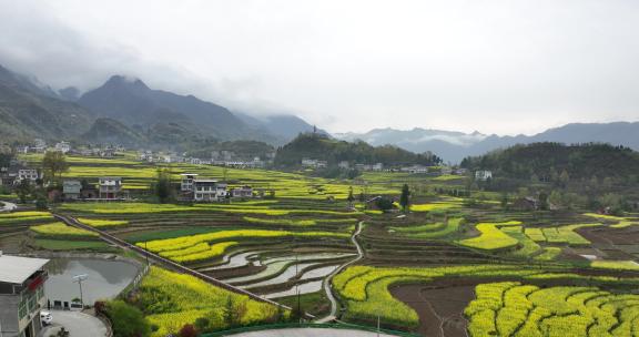 4k高清安康汉阴凤堰古梯田油菜花