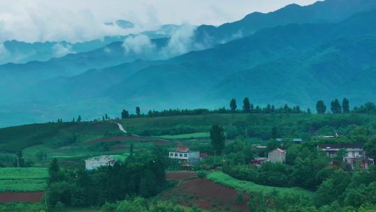 森林高山云雾环绕 秦岭航拍