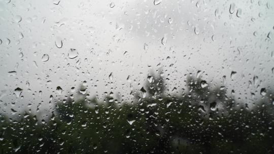 下雨天窗外风景水滴雨珠树林森林雨水风光视频素材模板下载