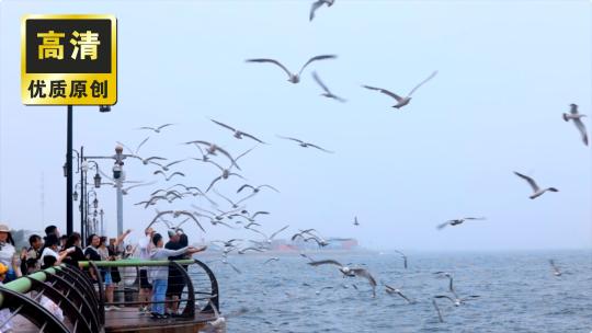 海边海鸥飞翔 大海海鸥 海鸟自由飞翔