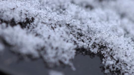 微观雪花冬季雪花飘落下雪地面雪花上霜