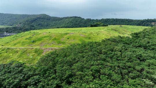 浦口老山天井洼垃圾填埋场滁河风光河岸花海