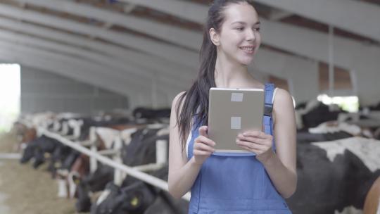 肖像年轻自信的女孩农民在农场录音中带着奶牛参观谷仓