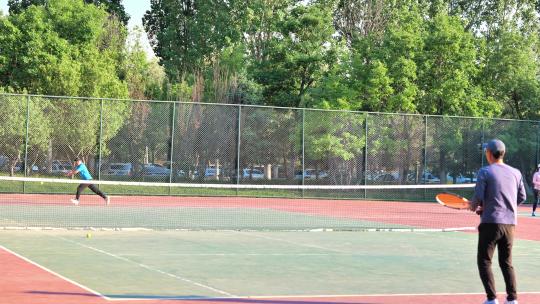 公园里两个男人在对打网球锻炼身体视频素材模板下载