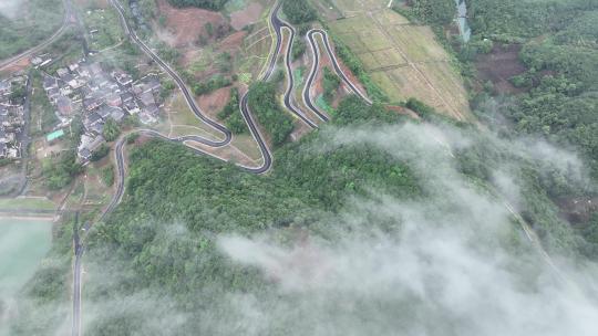 大自然森林茶园村庄云雾大山云海