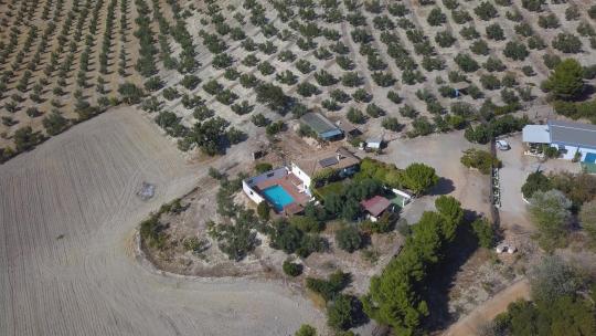 安达卢西一栋典型的白色大房子的航拍照片，游泳池周围是橄榄田