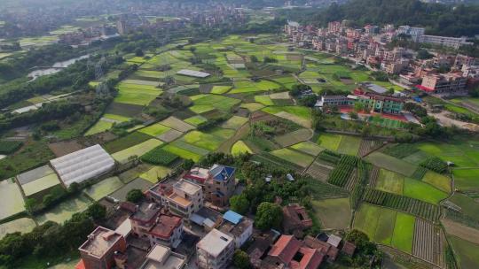 航拍福建厦门新农村景观