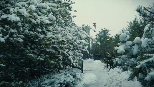 雪景游客视角拍摄环球影城
