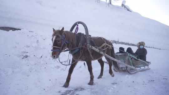 新疆和木村冬季雪景