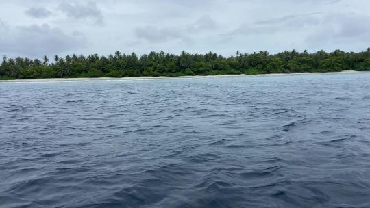 野生热带海滩与异国情调的棕榈树丛林从游船，马尔代夫视频素材模板下载