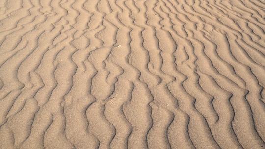 沙漠表面平行沙纹线