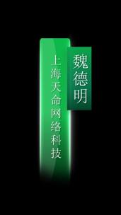 绿色质感竖条人名字幕条