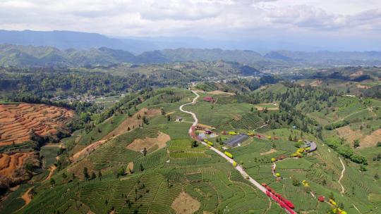 航拍四川雅安蒙顶山牛碾坪茶山