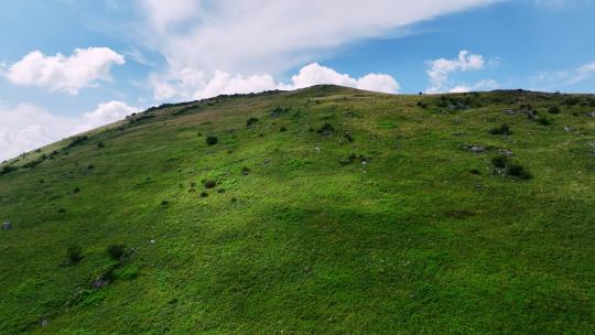 陕西汉中秦岭紫柏山高山草甸