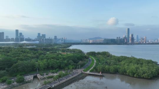 深圳湾公园航拍视频素材模板下载
