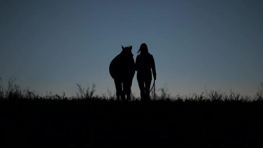 日落后风吹时，一名女马术师牵着她的马在户外的剪影