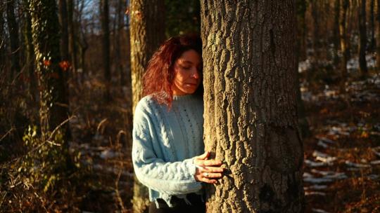 红发女孩在夕阳下拥抱一棵树