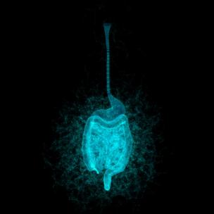 3D科技粒子旋转肠胃消化道HUD元素人体器官