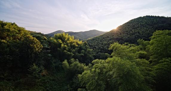 湖北省咸宁市竹海