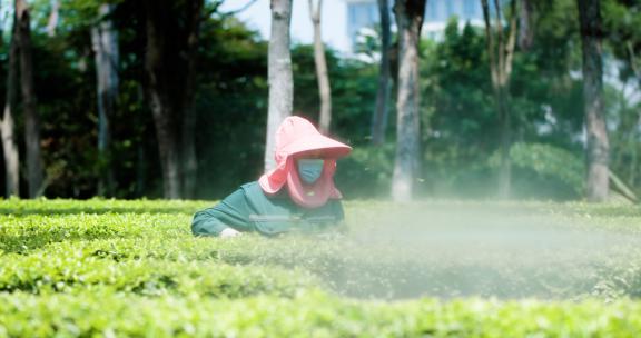 绿化工人给绿化打农药 农用打药机喷雾器