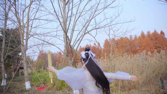 古装舞蹈汉服妹妹美女姐姐湿地公园剧情短片