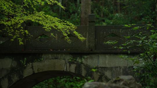 杭州云栖竹径春季清明节雨天古建筑自然唯美