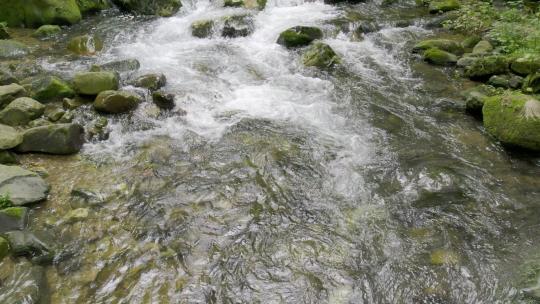 森林溪流-自然生态-山青水秀