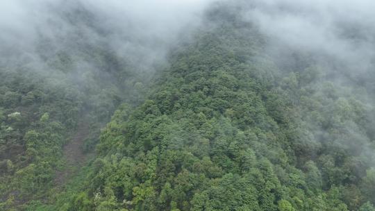 烟雨云雾缥缈的大山