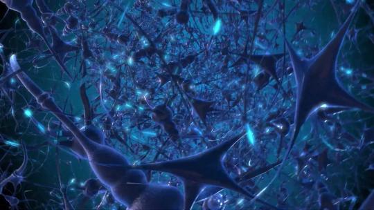 脑神经链接 AI大脑 模拟大脑 神经网络