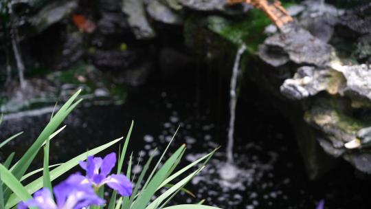 花园水池流水