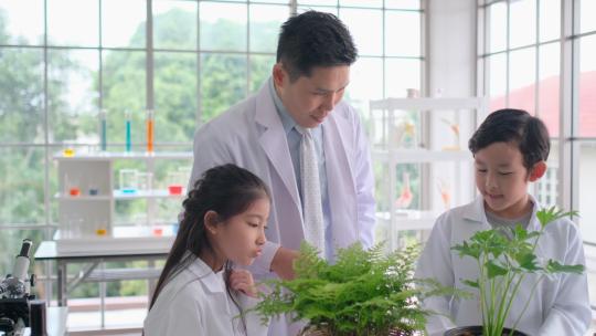 老师讲解种植绿色植物
