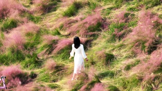 航拍秋天户外红色粉黛子草海里拍照的少女